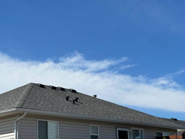 Best Roof Maintenance and Cleaning  in Greentown, OH